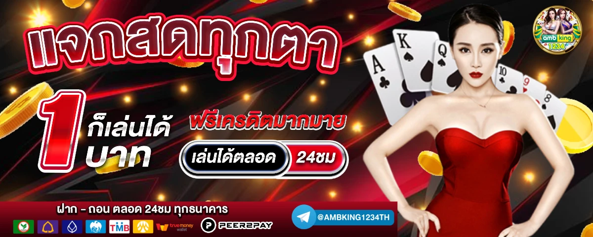 สล้ - แบนเนอร์โปรโมชั่น